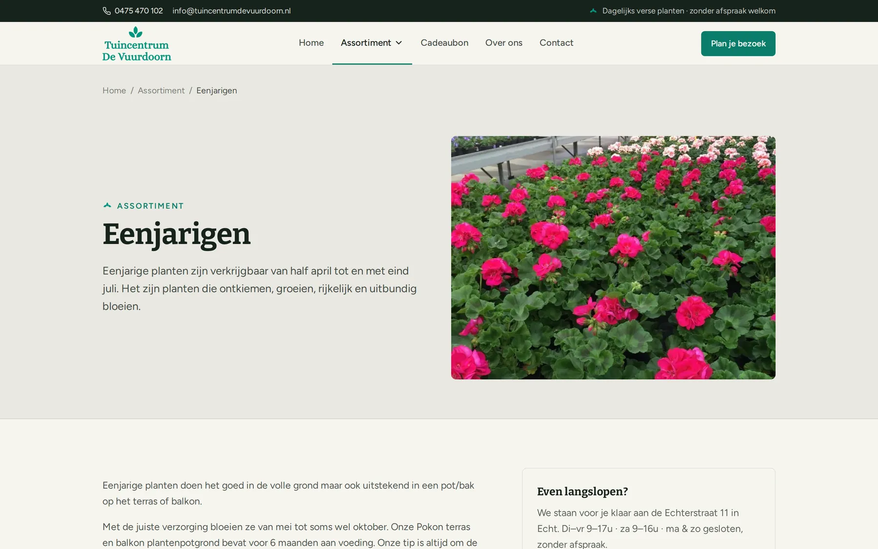 De pagina over eenjarigen van Tuincentrum de Vuurdoorn met een foto van geraniums